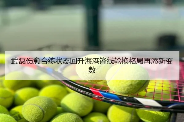武磊伤愈合练状态回升海港锋线轮换格局再添新变数